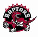 Toronto Raptors 50-50 Draw